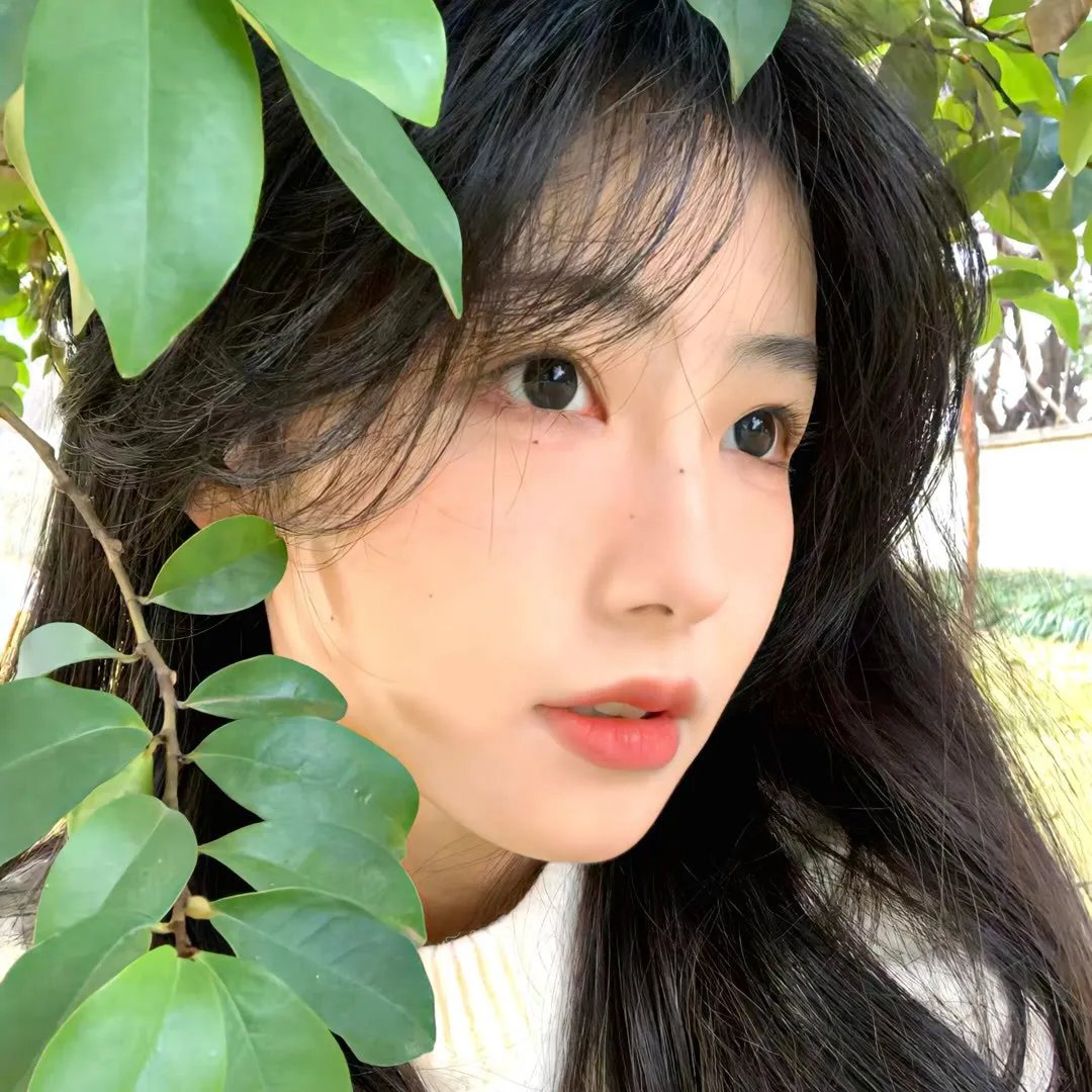 红豆杉之恋